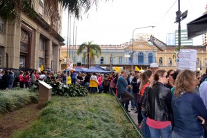 GREVE 25maio2015 - SF (24)